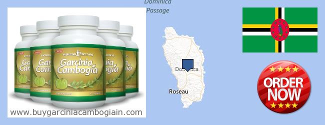 Dove acquistare Garcinia Cambogia Extract in linea Dominica